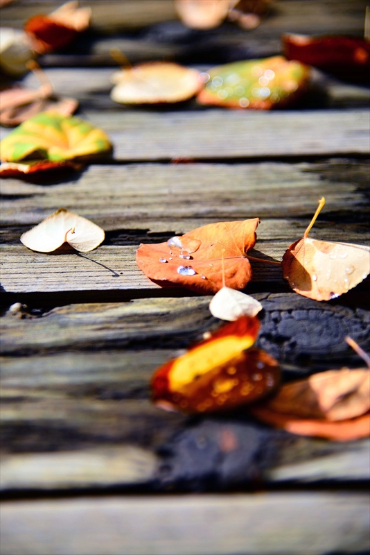 1125__横浜市新羽町_神奈川