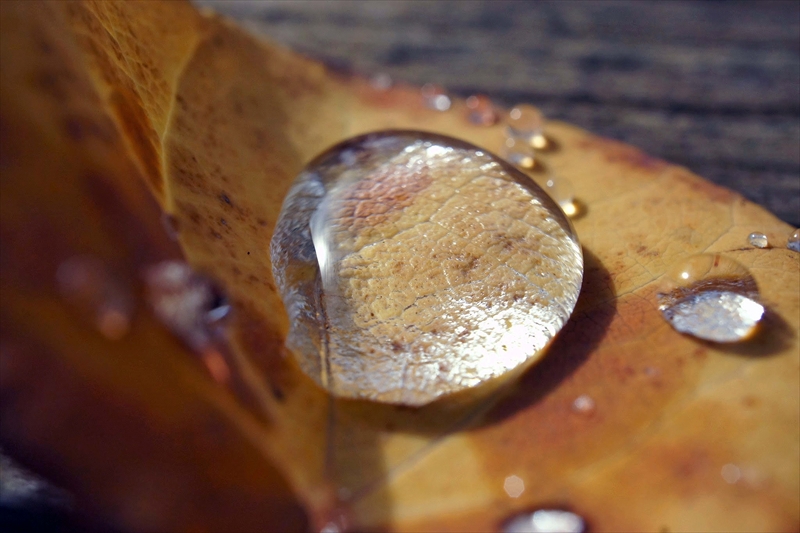 1126__横浜市新羽町_神奈川