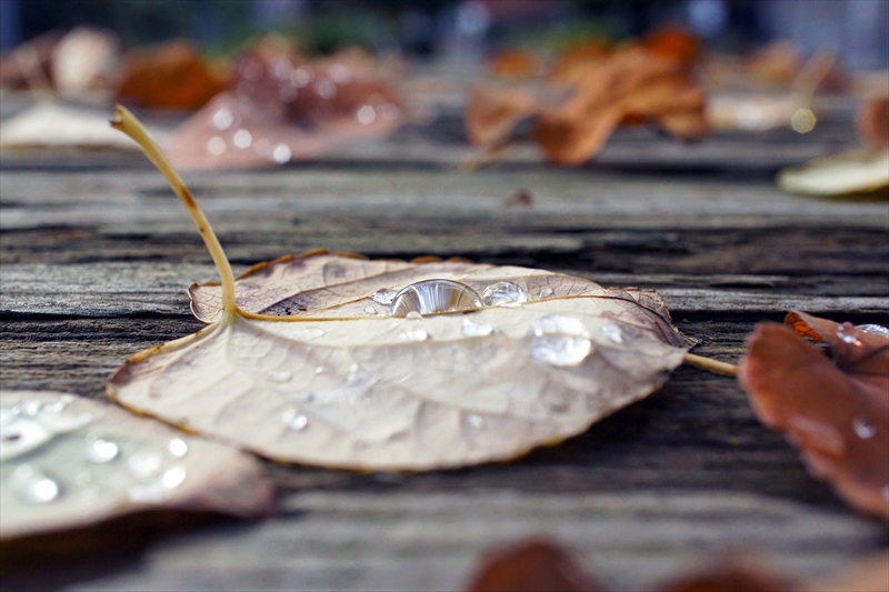 1127__横浜市新羽町_神奈川