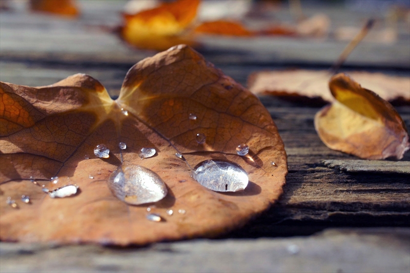 1128__横浜市新羽町_神奈川