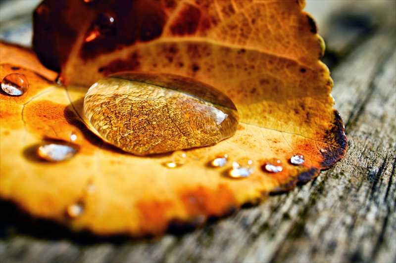 1025_游愁の美_日本