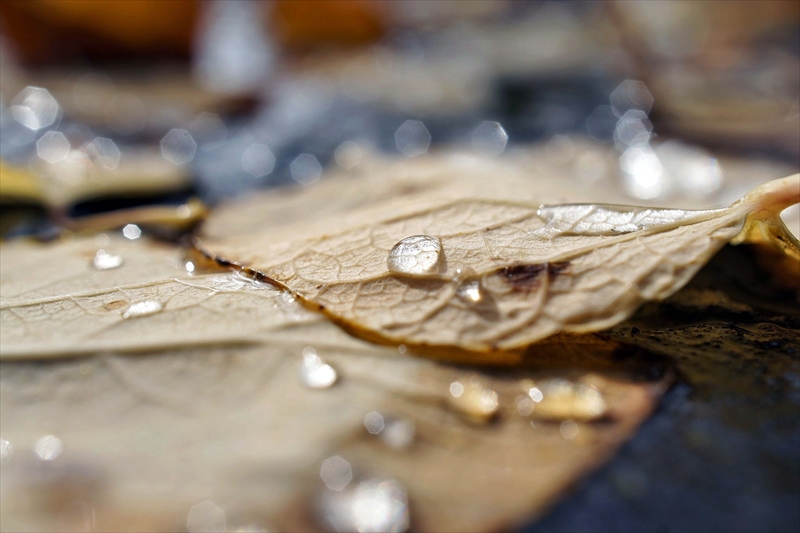 1130__横浜市新羽町_神奈川