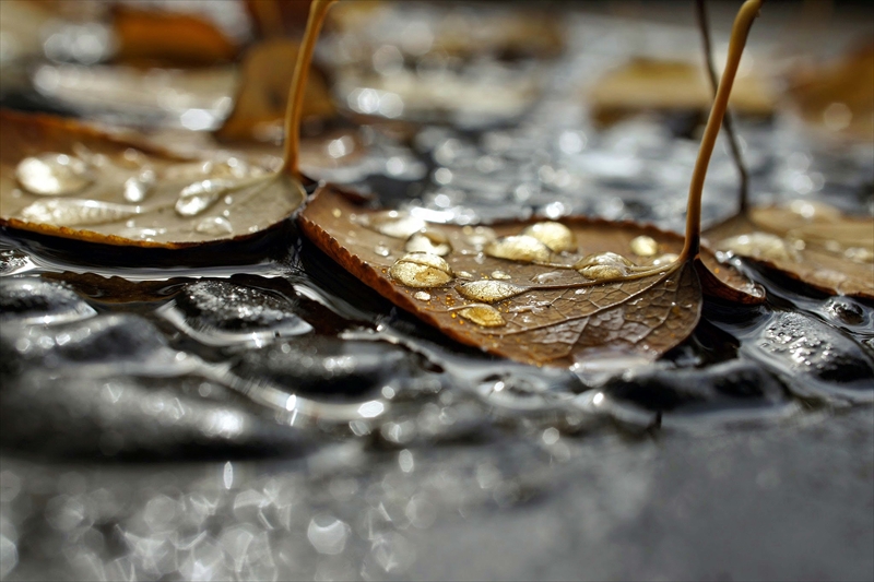 1131__横浜市新羽町_神奈川