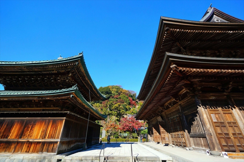 1065_鎌倉円覚寺_神奈川