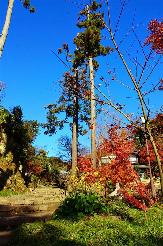 1067_鎌倉円覚寺_神奈川