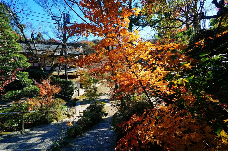 1074_鎌倉円覚寺_神奈川