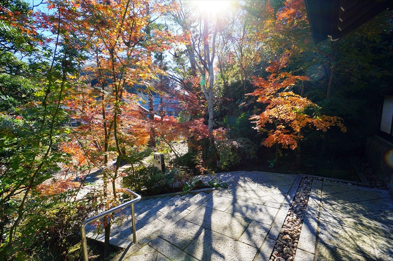 1075_鎌倉円覚寺_神奈川