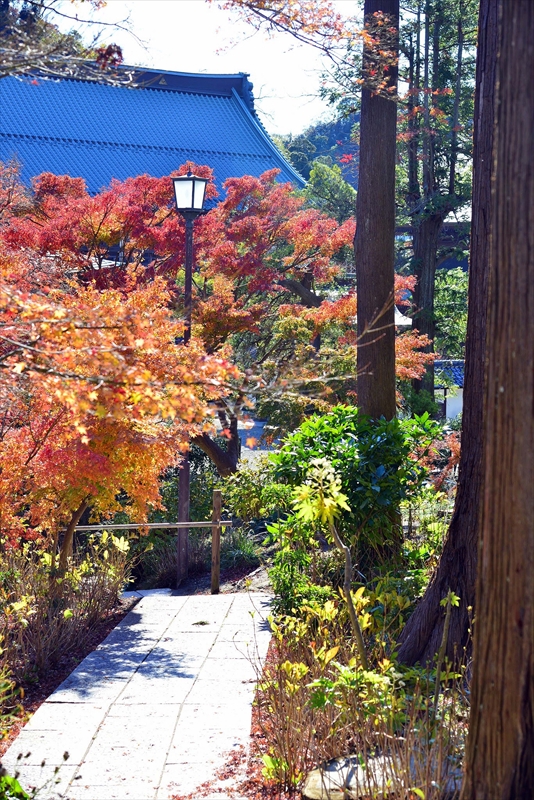 1076_鎌倉円覚寺_神奈川