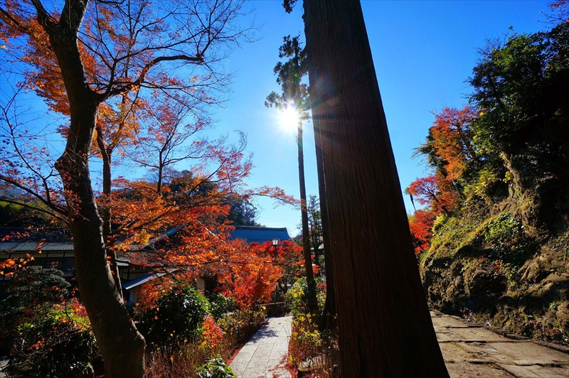 1078_鎌倉円覚寺_神奈川