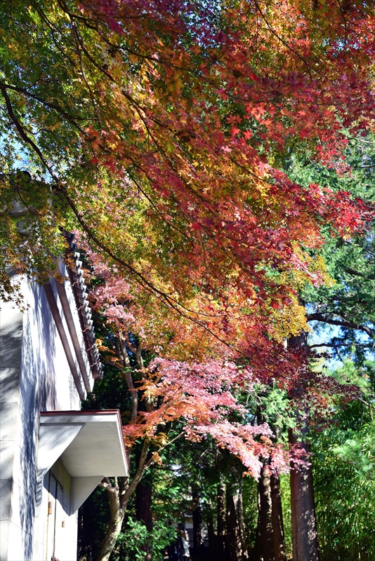 1082_鎌倉円覚寺_神奈川