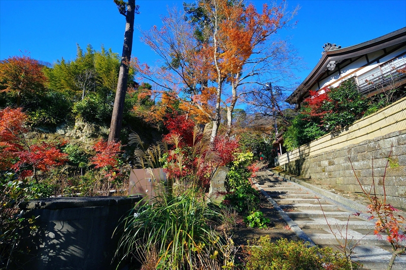 1083_鎌倉円覚寺_神奈川