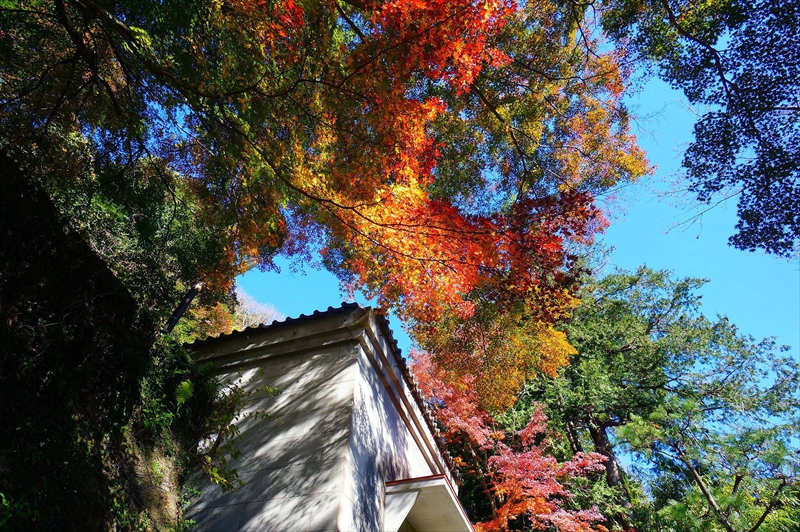 1084_鎌倉円覚寺_神奈川