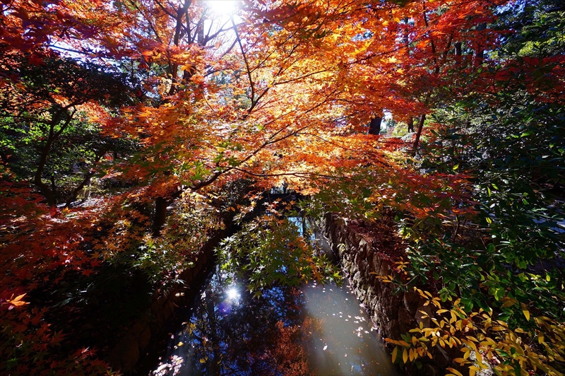 1097_鎌倉円覚寺_神奈川
