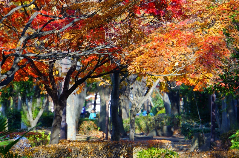 1140__横浜市新羽町_神奈川