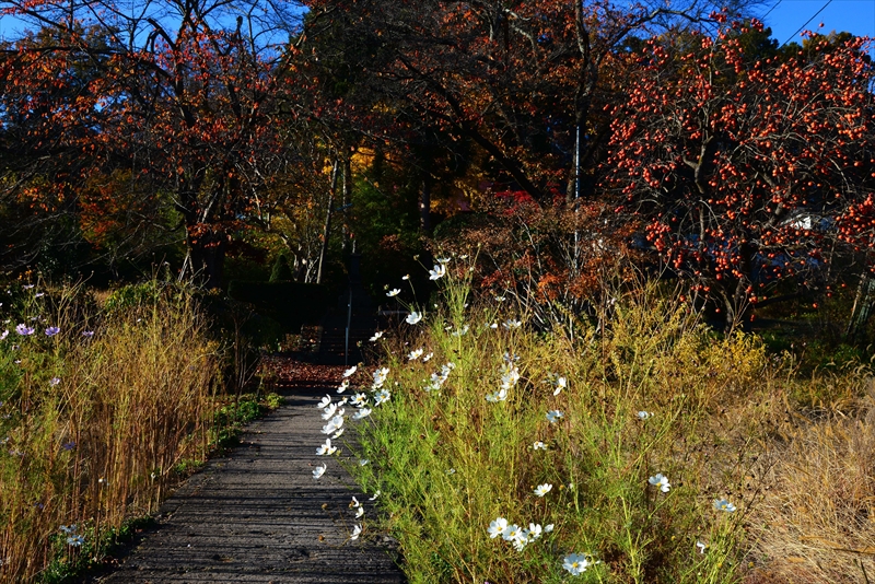 1032_上山市高松観音_山形