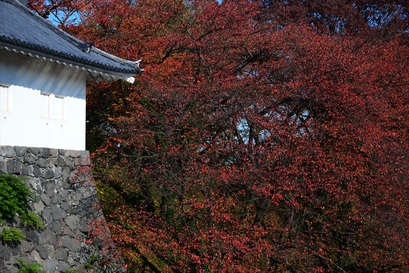 1013_霞城公園_山形