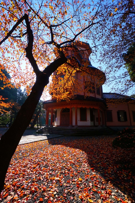 1016_霞城公園_山形