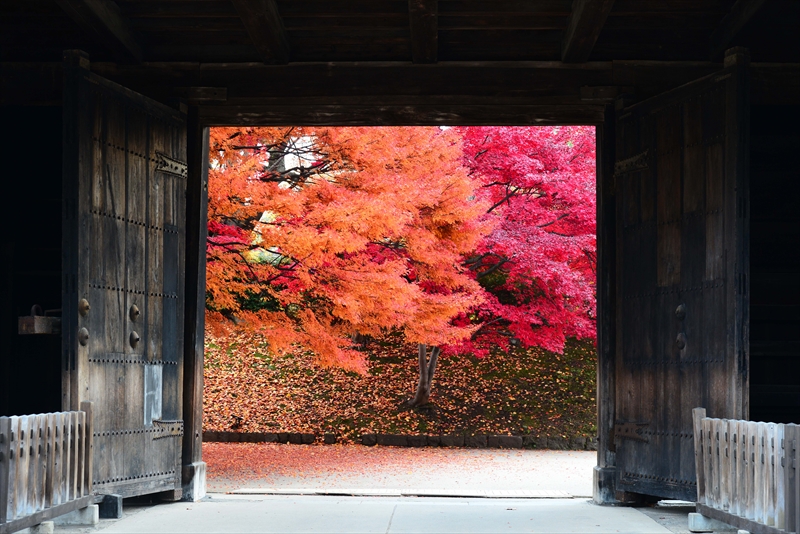 1015_弘前公園_青森