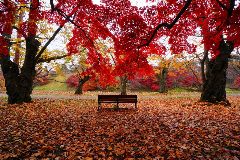 1020_弘前公園_青森