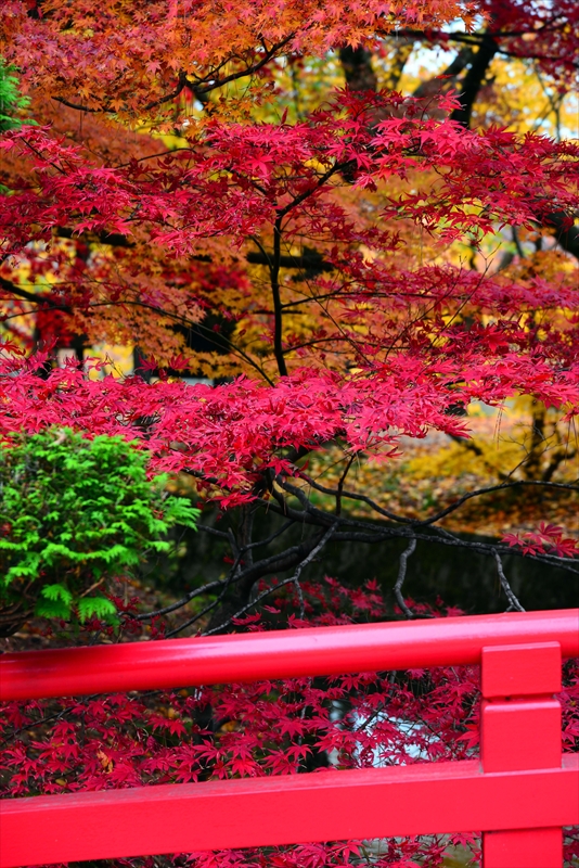 1024_弘前公園_青森