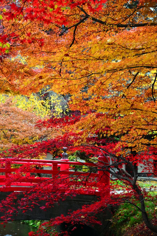 1027_弘前公園_青森