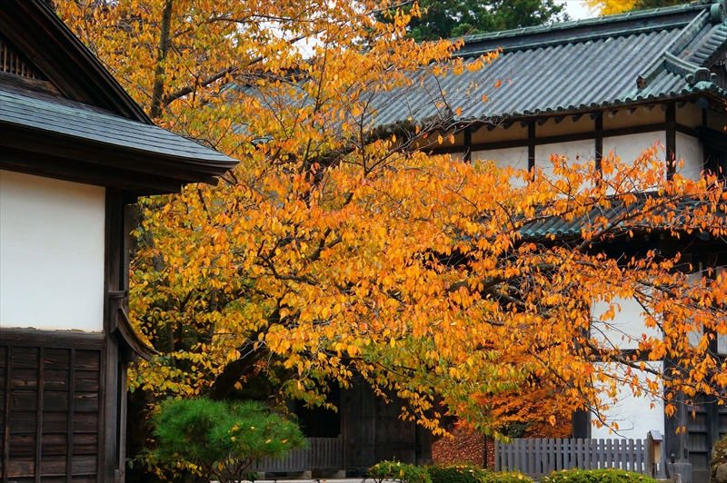 1042_弘前公園_青森