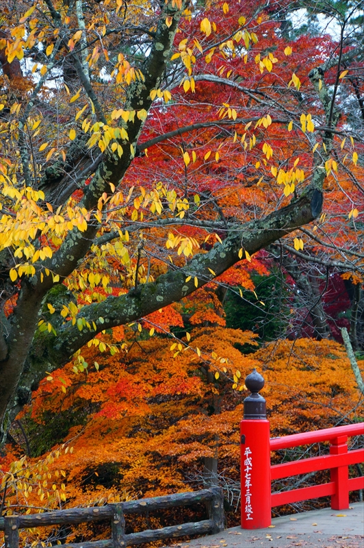 1045_弘前公園_青森
