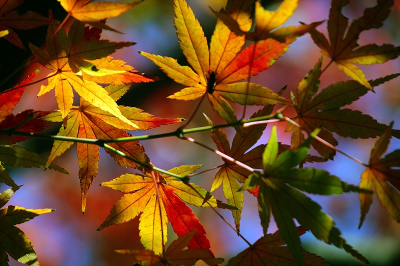 1146__横浜市新羽町_神奈川