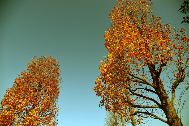 1149__横浜市新羽町_神奈川