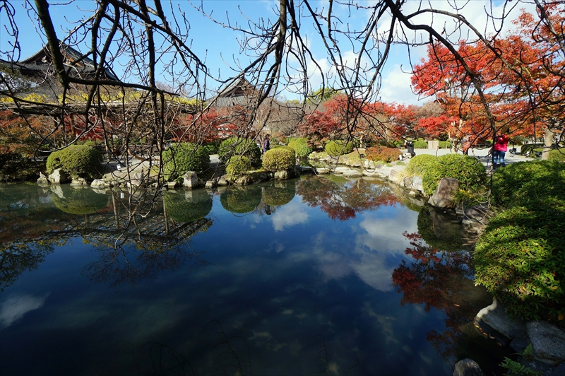 1131_洛中 東寺_京都