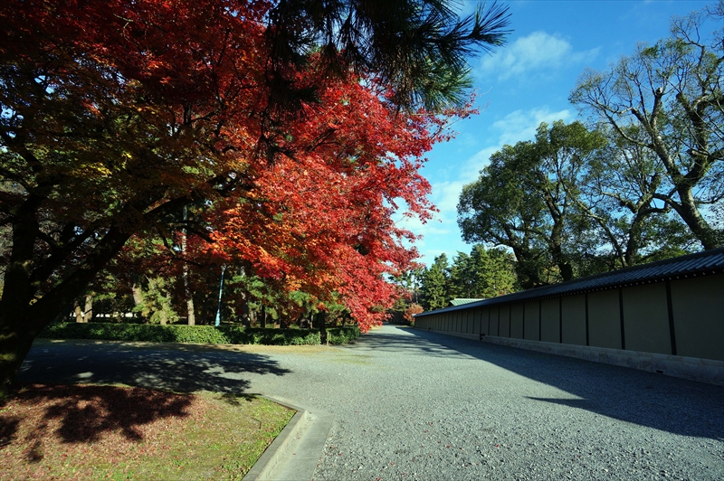 1049_洛中 京都御苑_京都