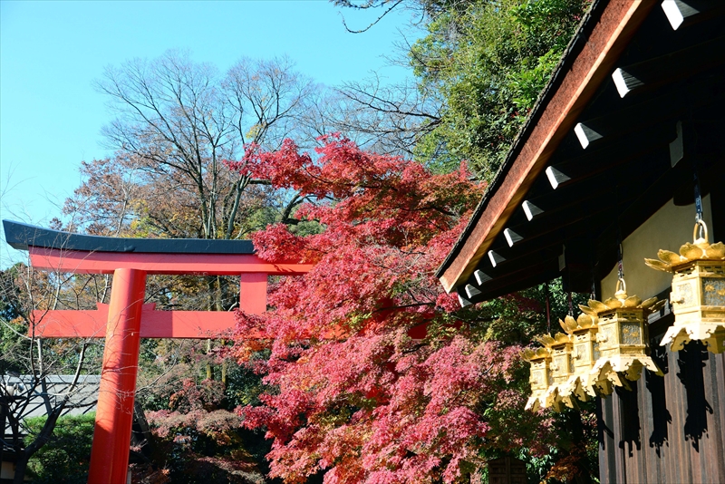 1079_洛北 下賀茂神社_京都