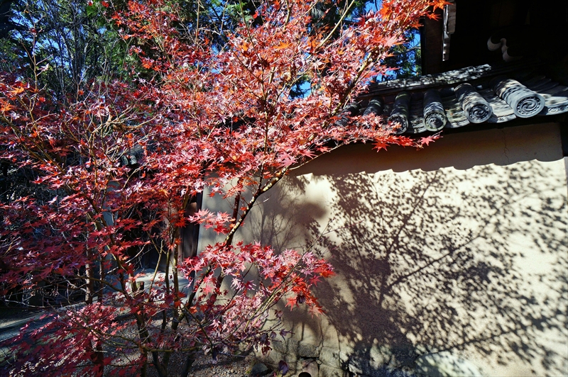 1057_洛北 大徳寺・芳春院_京都