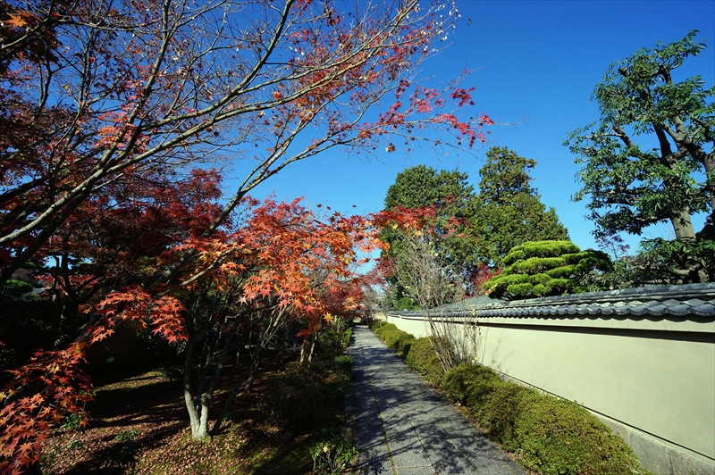 1059_洛北 大徳寺・芳春院_京都