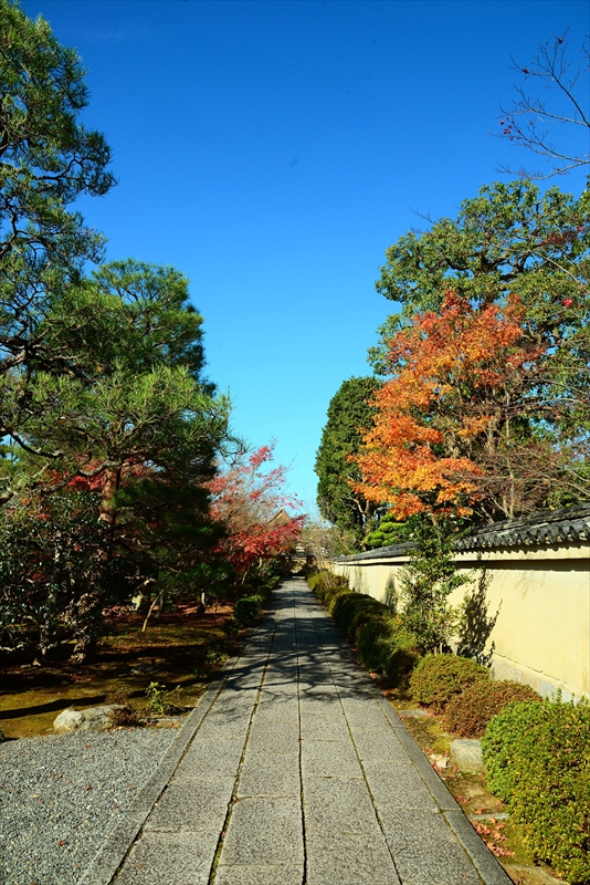 1063_洛北 大徳寺・芳春院_京都