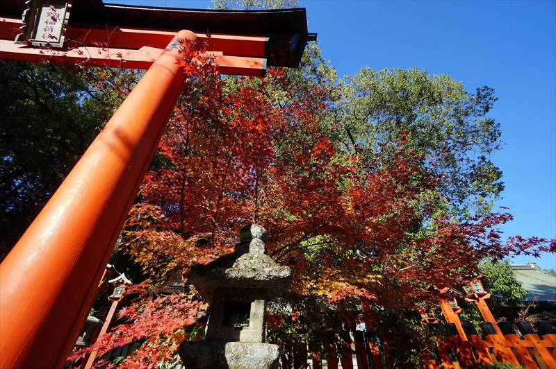 1019_洛北 今宮神社_京都