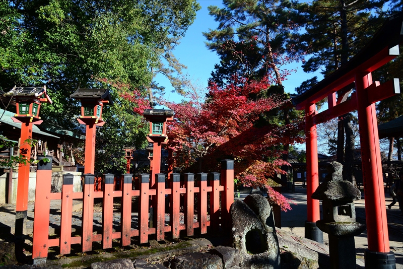 1021_洛北 今宮神社_京都
