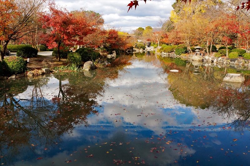 1133_洛中 東寺_京都