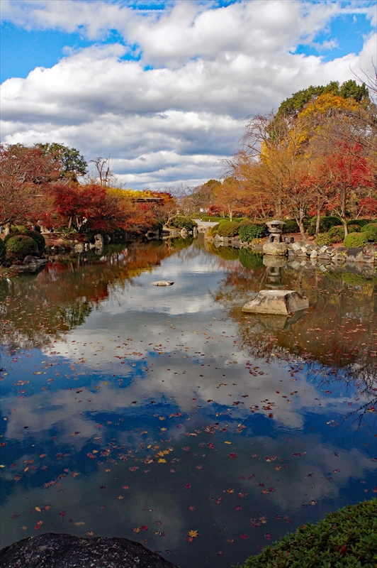 1134_洛中 東寺_京都