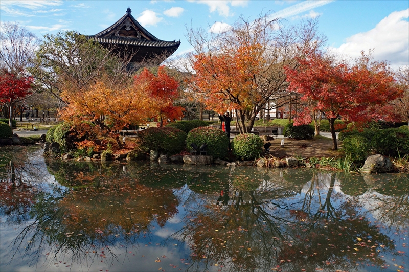 1135_洛中 東寺_京都