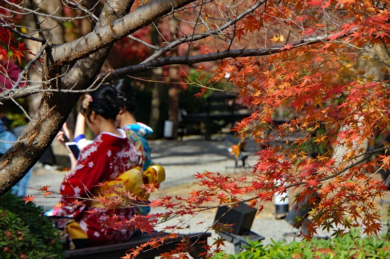 1138_洛中 東寺_京都