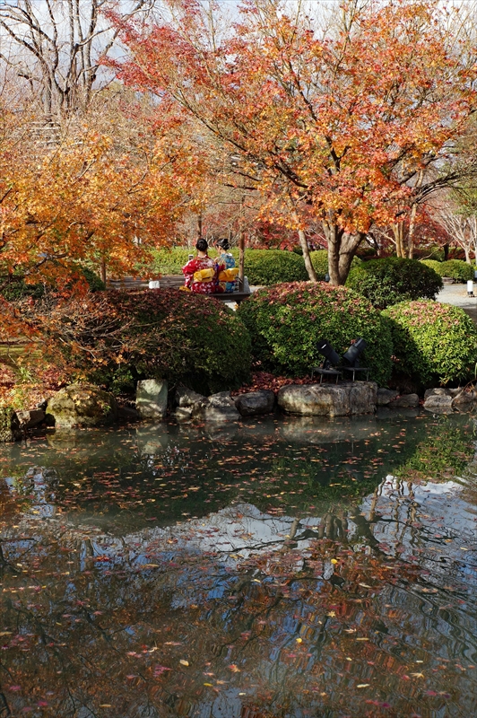 1139_洛中 東寺_京都
