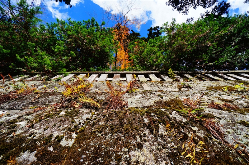 1006_日光東照宮_栃木