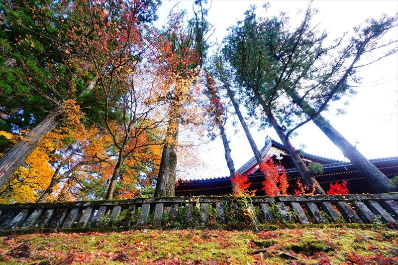 1007_日光山 輪王寺_栃木