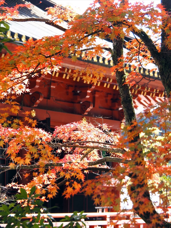 1010_日光山 輪王寺_栃木