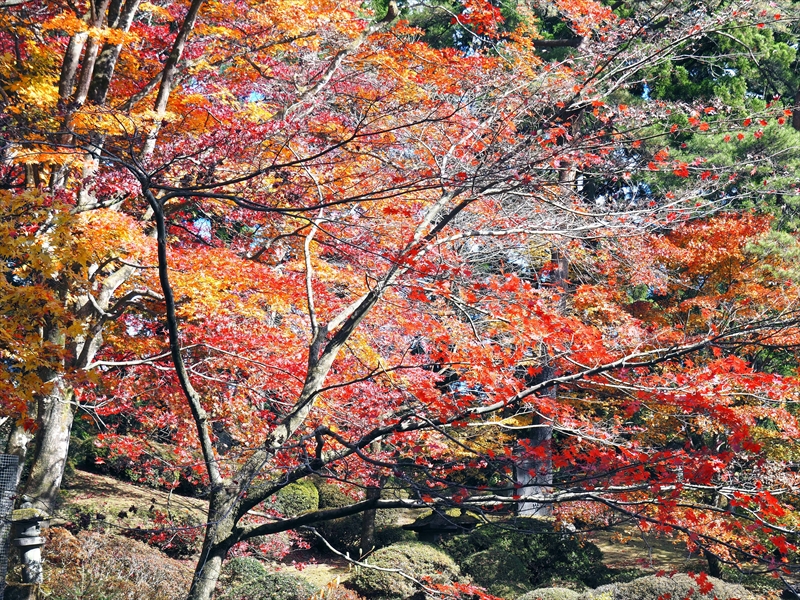 1011_日光山 輪王寺_栃木