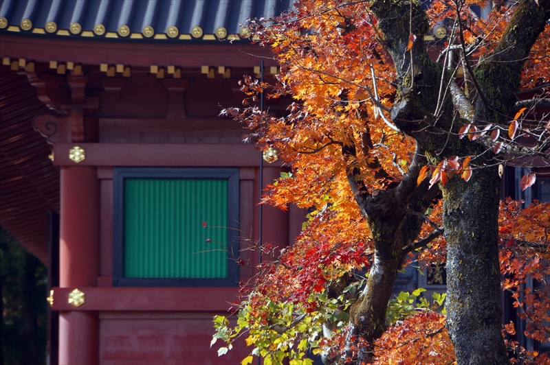 1021_日光山 輪王寺_栃木