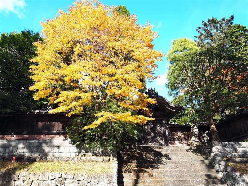 1001_日光市内_栃木