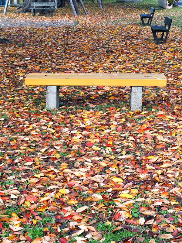 1048_弘前公園_青森