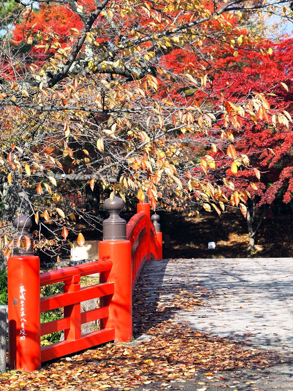 1051_弘前公園_青森